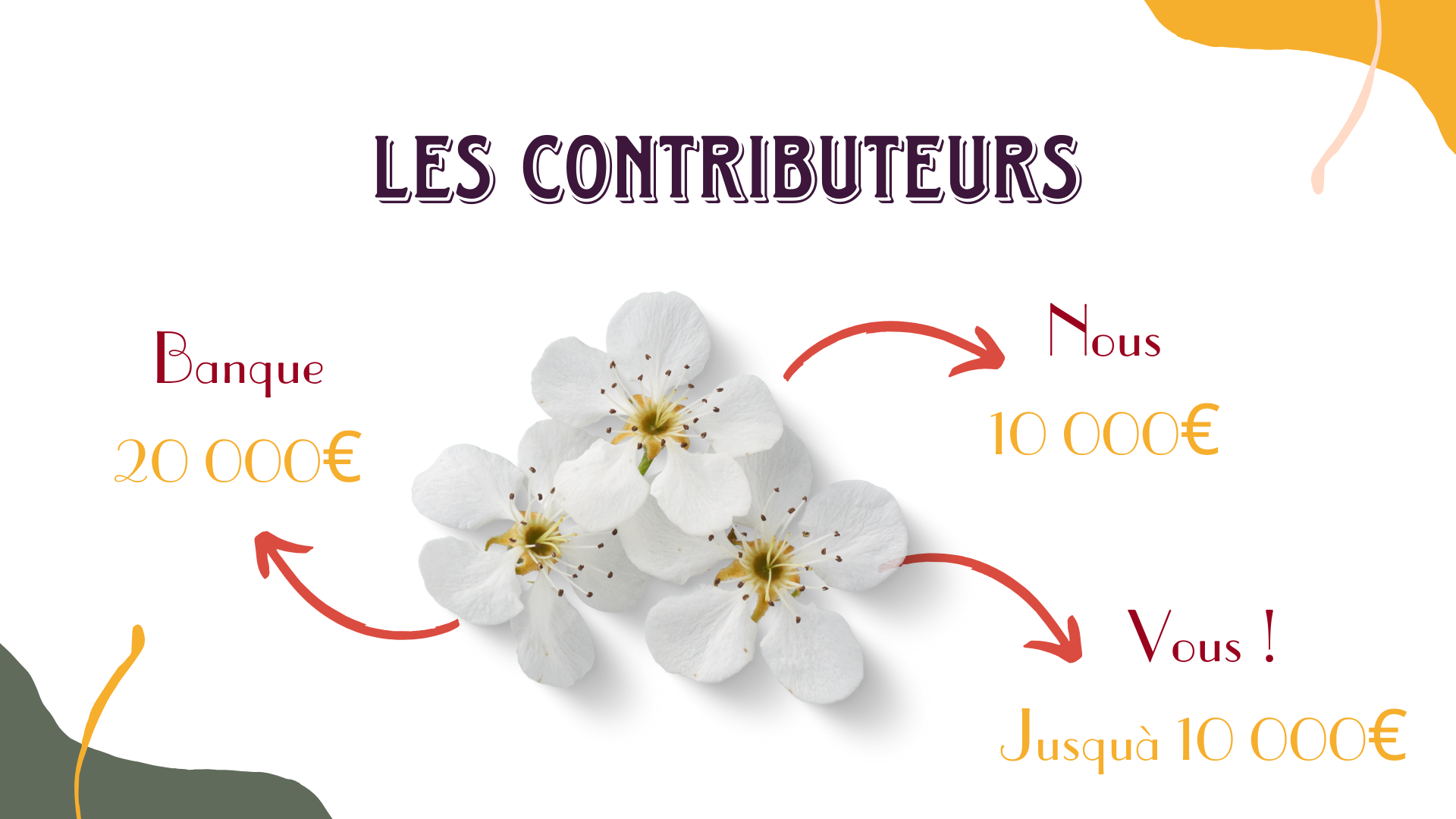 Contributeurs