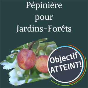 vignette propulsons objectif